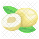 Cucumis Melo  Icon