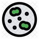 Cultivation Bacteria Virus Icon