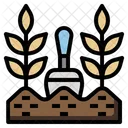 Cultivation Plant Gardening Icon