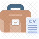 Curriculum Vitae Curriculum Cv Icon