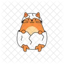 Cat Animal Pet Icon