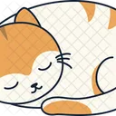 Cute Cat Cute Cat Icon