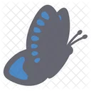 Cute Butterfly Sticker Butterfly Cute Icon