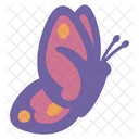 Cute Butterfly Sticker Butterfly Cute Icon