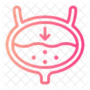 Cystitis Bladder Urinary Icône