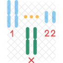 Cytogenetics  Icon