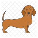 Dachshund  Icon