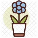 Dahlia  Icon