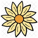 Daisy  Icon