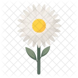 Daisy  Icon