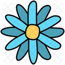 Daisy  Icon