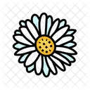 Daisy  Icon