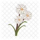 Flower Plant Nature Icon