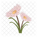 Flower Plant Nature Icon