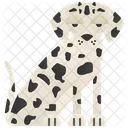 Dalmatian  Icon