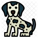 Dalmatian  Icon