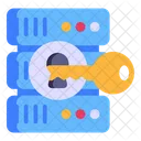 Data Access  Icon