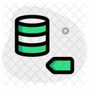 Database Pin  Icon