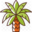 Date Palm  Icon