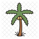 Dattelpalme  Symbol