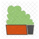 Decorative bush in wooden crate  Icon