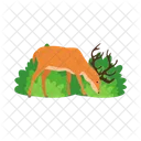 Animal Wildlife Deer Icon