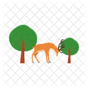 Animal Wildlife Deer Icon