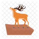 Animal Wildlife Deer Icon