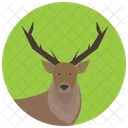 Deer Animal Icon