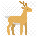 Deer Zoo Animals Icon