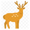 Deer Zoo Animal Icon