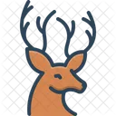 Deer Reindeer Herbivores Animal Icon