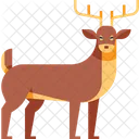 Deer  Icon