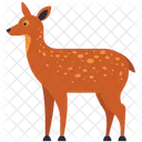 Deer  Icon