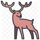 Deer Forest Nature Icon