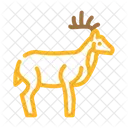 Deer  Icon