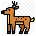 Deer  Icon