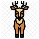 Deer  Icon