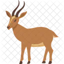 Deer  Icon