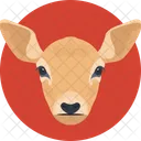 Deer  Icon