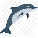 Delfin  Symbol