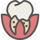 Dental  Icon