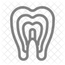 Anatomy Dental Dentin Icon