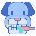 Dental Cleaning  Icon