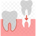 Dental Implants Denture Icon