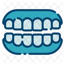 Dental Care Dentist Tooth Icon