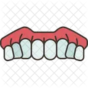 Dentures Oral Prosthesis Icon