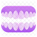 Dentures Dental Tooth Icon