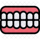 Dentures  Icon