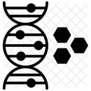 Dna Deoxyribonucleic Acid Dna Strand アイコン